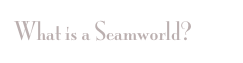 What is a Seamworld?